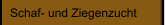 Schaf- und Ziegenzucht
