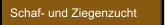 Schaf- und Ziegenzucht